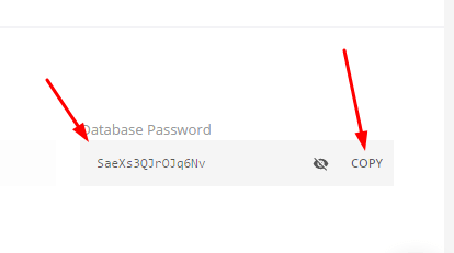 database-username-password-kinsta4-min
